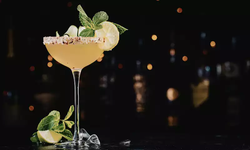 Vogue en maine propose des balades cocktail sur les eaux de la Maine à Angers jusqu'à La Mayenne avec apéritif. Idéal pour une sortie en couple ou une soirée entre amis.